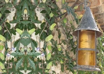 La Garde-Adhémar Mas Bella Cortis B&B 외부 사진